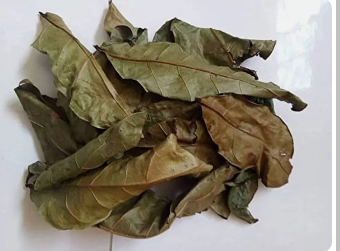 Feuilles d'hysopes (purification)
