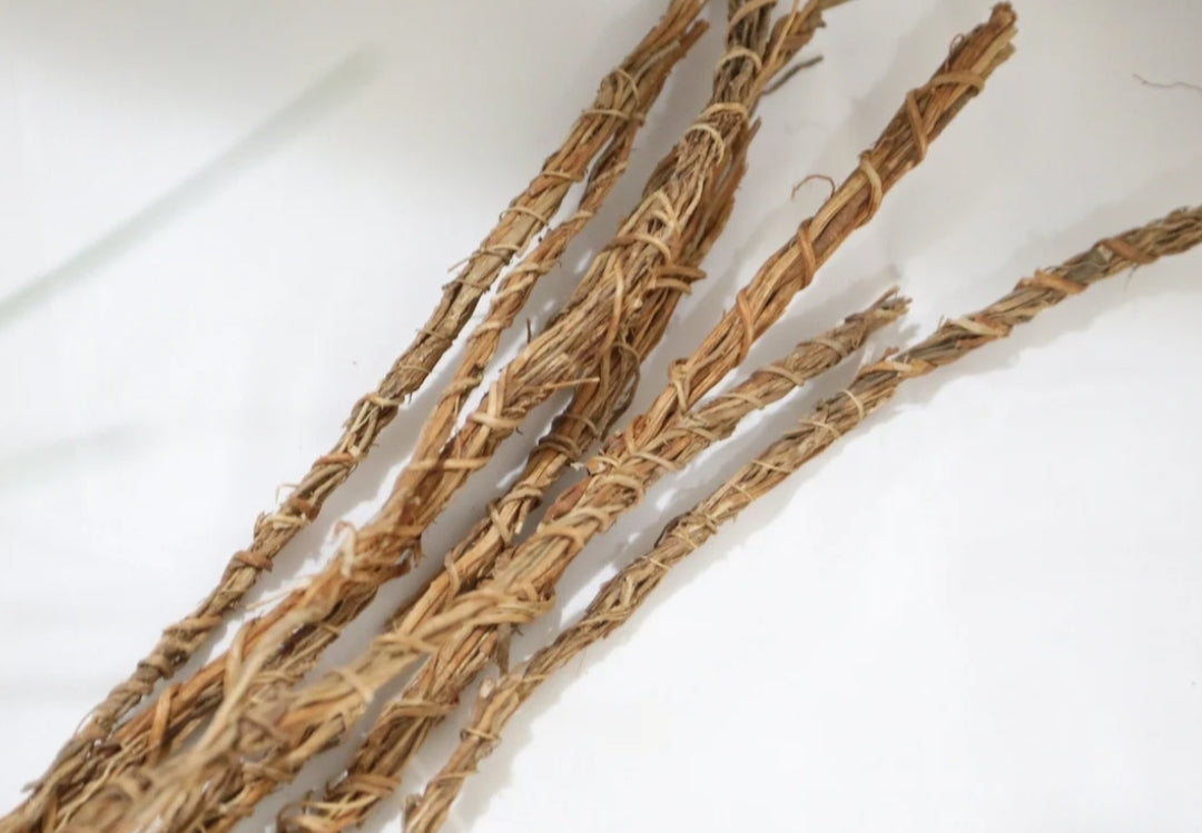 Les bienfaits des racines de vetiver khamare gongoli bio fraiches